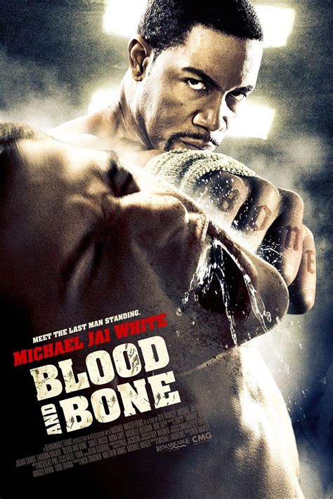 blood and bone rotten tomatoes|blood and bone cast netflix.